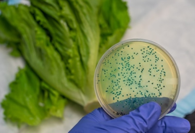 Experts offer E.coli prevention tips after US outbreak linked to